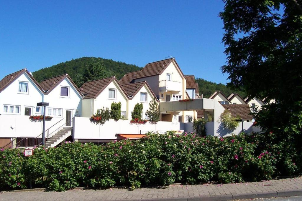 Seeblick Geniessen In Schoener Fewo Am Edersee Scheid  エクステリア 写真